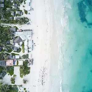 coco-tulum-beach-club-hotel.allrivieramayahotels.com/